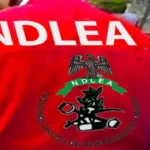 ﻿NDLEA smashes cocaine cartels behind UK-bound shipments, arrests kingpins