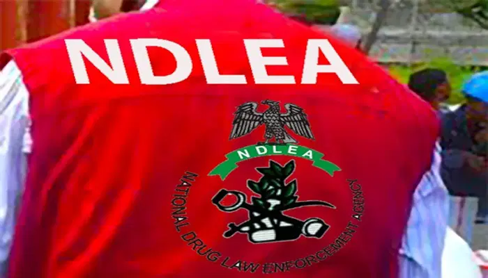 ﻿NDLEA smashes cocaine cartels behind UK-bound shipments, arrests kingpins
