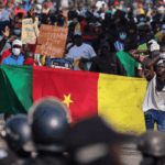 Cameroon at the crossroads: Elections, Anglophone challenges & untapped business potential for Nigeria