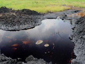 Integrated solutions to oil spillage in the Niger Delta