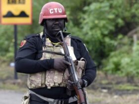 Lessons from Nigeria’s reintegration exercise