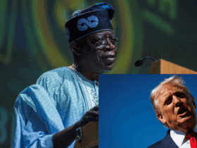 Nigeria must respond to Trump’s threat with strategy, not emotion