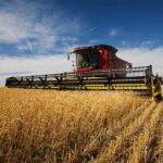 Partnerships, policy action key to sustainable agriculture, cleaner environment - Experts