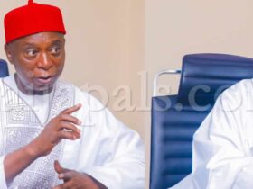 Politics Should Be Open To All, Not Privileged Few – Ned Nwoko