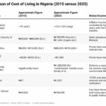 The Silent Squeeze: Nigeria's Middle Class Under Pressure.