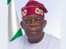 Tinubu declares national security emergency as lawmakers reject bandit negotiations