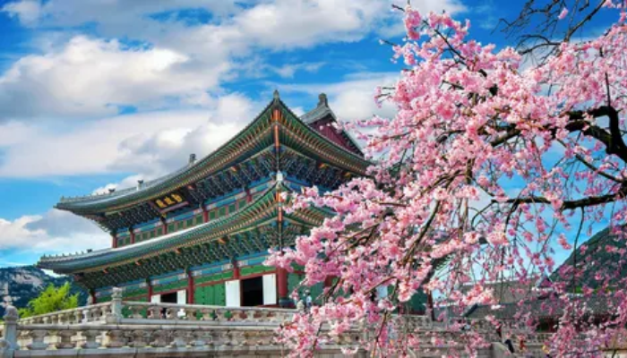 5. Seoul, South Korea