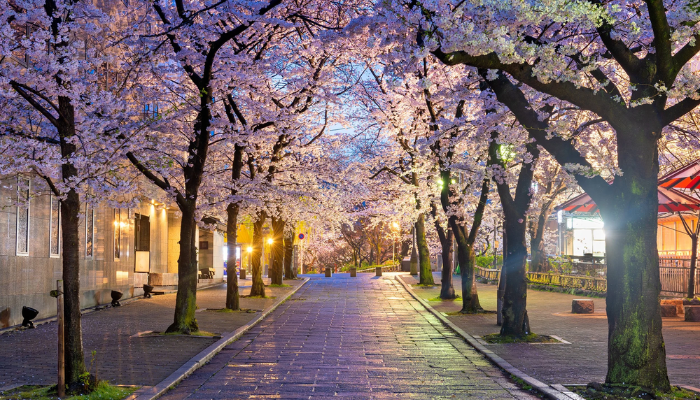 10. Kyoto, Japan