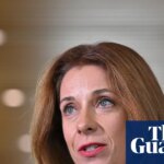 Anika Wells claimed more than $8,500 for family travel to Melbourne during AFL grand final weekends over three years