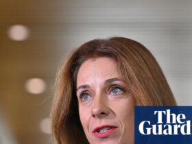 Anika Wells claimed more than $8,500 for family travel to Melbourne during AFL grand final weekends over three years