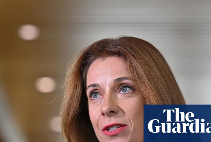 Anika Wells claimed more than $8,500 for family travel to Melbourne during AFL grand final weekends over three years