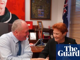 Barnaby Joyce joins One Nation as sitting MP with promise of future Senate ticket