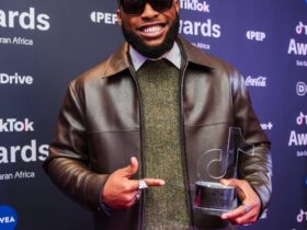 Brian Nwana, other Nigerians win 2025 TikTok awards