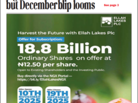 BusinessDay 16th Dec 2025 - Businessday NG