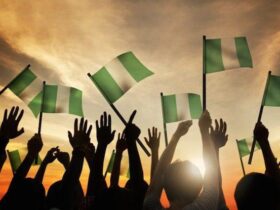 Cooperative federalism: Nigeria’s pragmatic path forward