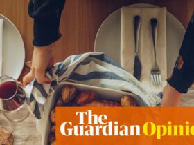 Digested week: Rejoice! A new oven is here before Christmas. Just a pity I can’t cook | Lucy Mangan