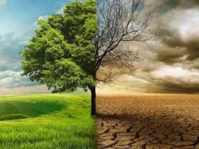 Enugu and climate governance ranking: Progress made, impact delivered, more work ahead