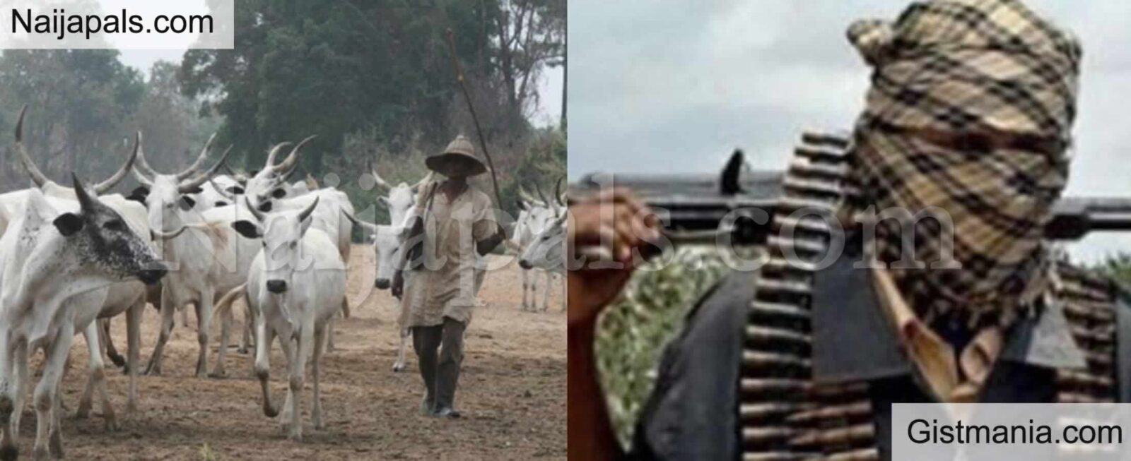 Four Killed, Women Captured, Tortured, Another Missing In Fresh Herders’ Attacks In Benue
