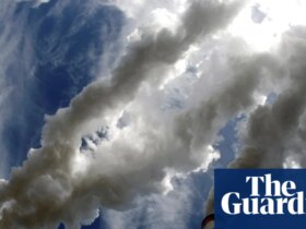 Green groups decry EU ‘betrayal’ after vote to reduce oversight of firms