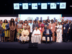 How Africa dances, networks, pushes for reforms at Creative Connect Afrika