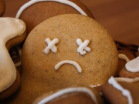 If the holidays are stressing you out, remember: everything is optional