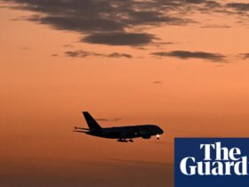 Labor wants watchdog to advise on overhauling travel perks for politicians as backlash grows