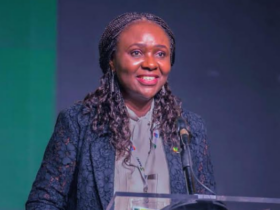 Meet Eyesan, the amazon tapped to lead Nigeria’s upstream oil regulator