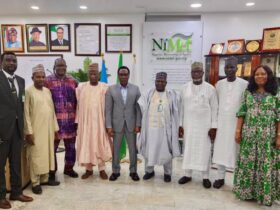 NiMet, Yobe govt finalise weather certification for Damaturu airport flights