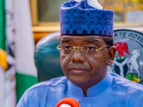 Niger Delta Youth Congress says call for Matawalle's ouster political