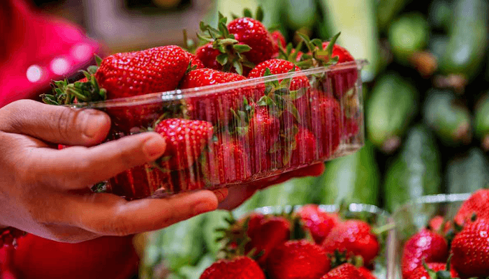 Nigeria grows strawberries, but poor infrastructure keeps them from markets