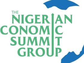 Nigerian govt must set priorities for effective budget implementation – NESG