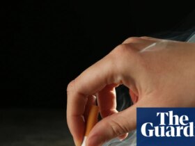 No guarantee tobacco tax cut would lure Australian smokers from illegal trade and raise more revenue, report says