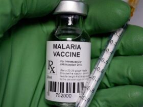 Over 200,000 Nigerian children receive new malaria vaccine – NPHCDA