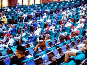 Reps in rowdy session over committee to probe CBN’s alleged non-remittance of ₦16trn