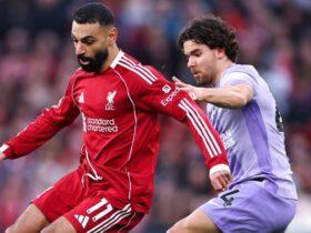 Salah shines on return as Liverpool defeat Brighton at Anfield