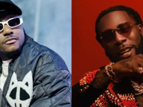 Terry G defends Burna Boy over viral ‘sleeping fans’ incident