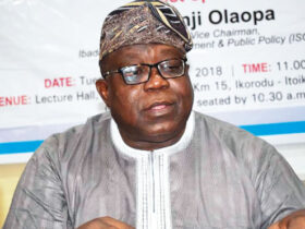 The 21st-century public administrator in a democratic context