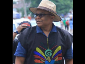 This year's carnival will be the epitome of our tourism recovery, real trace of our times – Onah