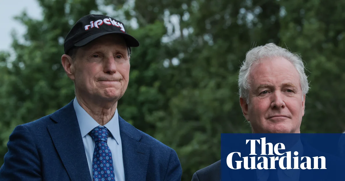 Top Democrats call for investigation into share-buying spree by Trump allies