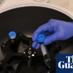 UK IVF couples use legal loophole to rank embryos based on potential IQ, height and health