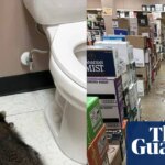 ‘He’s living his best life’: drunk raccoon hit DMV for snacks before liquor store