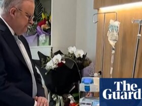 ‘Source of pride for Syria’: man who disarmed Bondi shooter lauded in home town